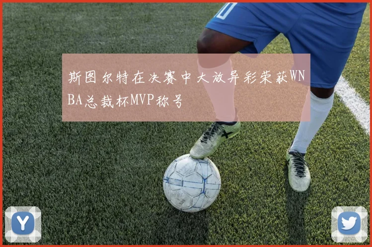 斯图尔特在决赛中大放异彩荣获WNBA总裁杯MVP称号