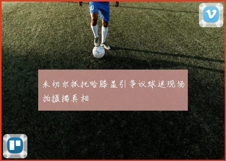 米切尔抓托哈膝盖引争议球迷现场拍摄揭真相